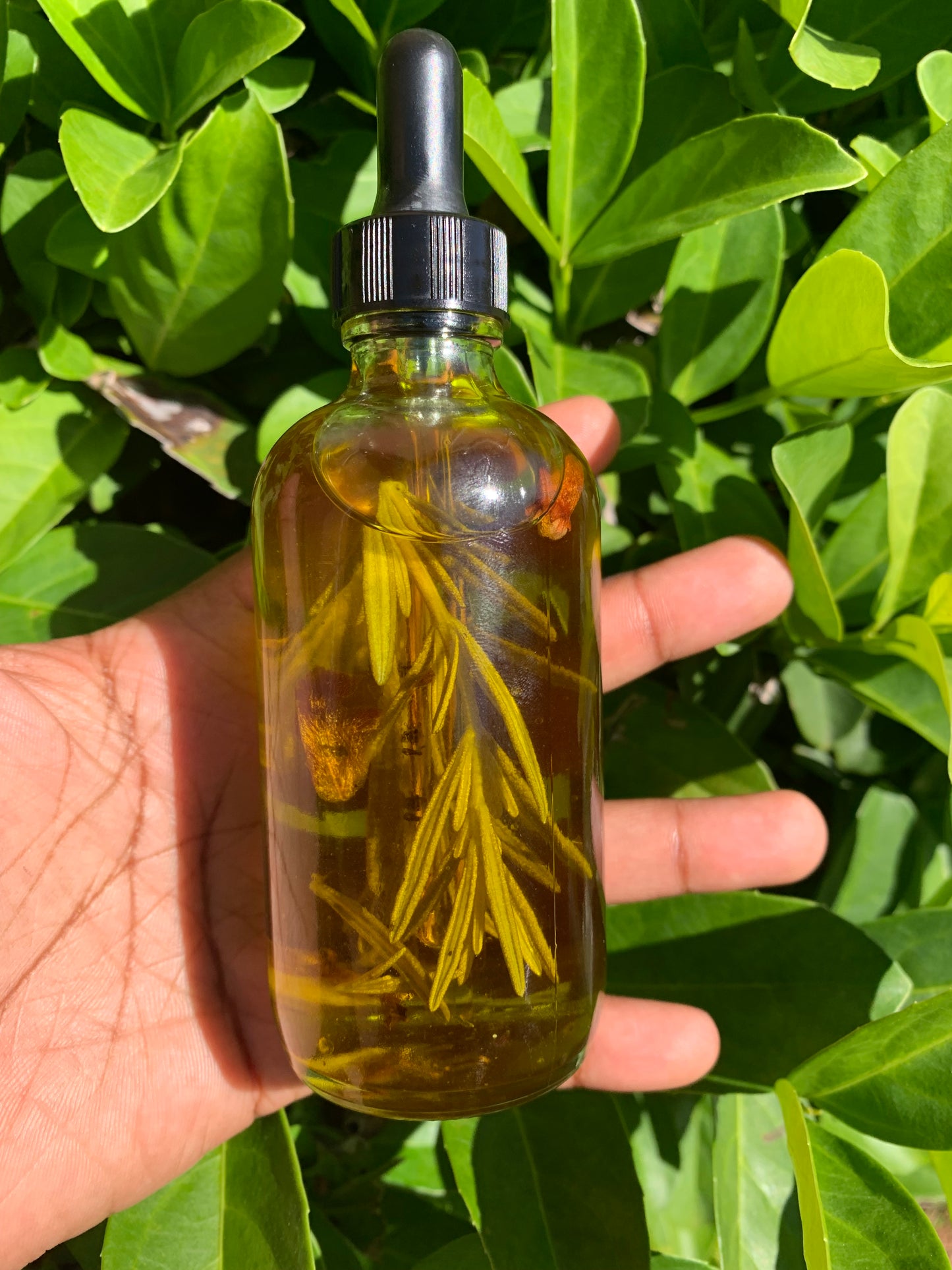 ROOTED IN GROWTH HAIR OIL